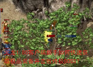 1.80ͻοٻȡƷװռBOSS