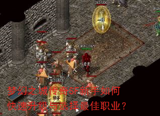 λ֮ǴSFοѡְҵ