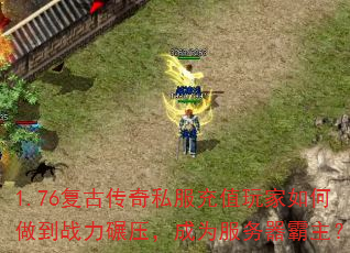 1.76Ŵ˽ֵսѹΪ