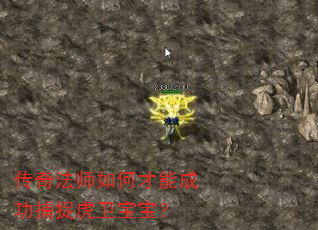 淨ʦβܳɹ׽