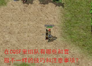 CQSFЩ͹ٷһļɺע