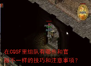 CQSFЩ͹ٷһļɺע