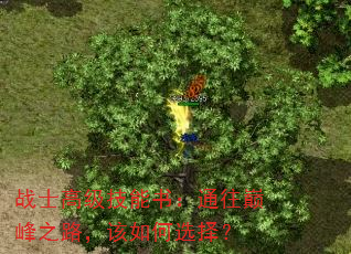 սʿ߼飺ͨ۷֮·ѡ
