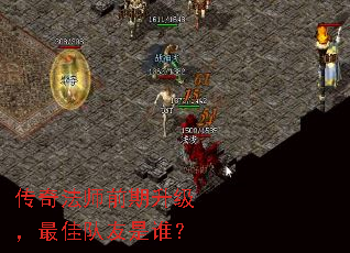 淨ʦǰѶ˭