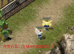NPCˣ