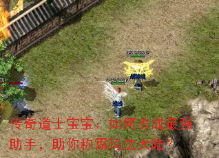 ʿǿ֣ư귨½
