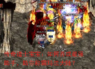 ʿǿ֣ư귨½
