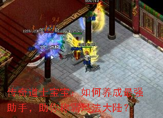 ʿǿ֣ư귨½