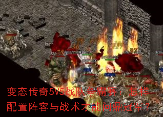 ̬5V5սսʶھ