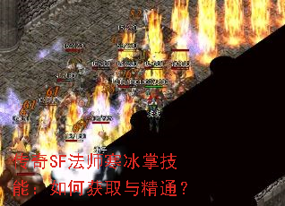 SFʦƼܣλȡ뾫ͨ