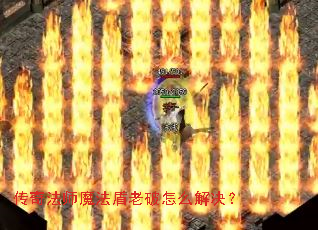 淨ʦħô