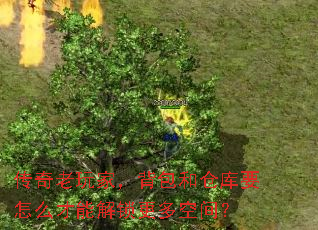 ңͲֿҪôܽռ䣿