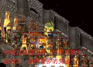 ˽ٵͶ룬ӮĽ