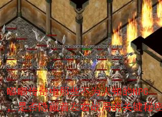 ུЩΪ֪NPCǷսֵĹؼ