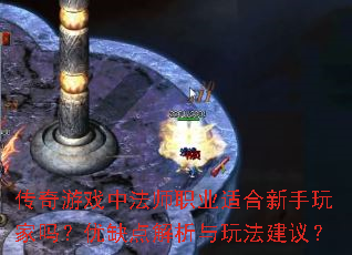 Ϸзʦְҵʺȱ淨飿