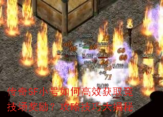 SFСθЧȡԼɴ