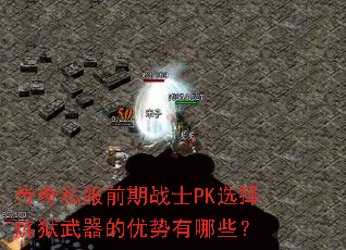 ˽ǰսʿPKѡЩ
