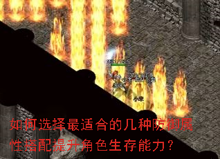 ѡʺϵļַԴɫ