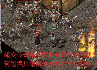 䴫ʿְҵֻܸھǱʵսɣ