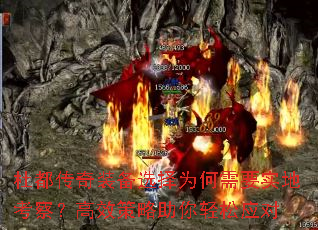 ŶװѡΪҪʵؿ죿ЧӦ