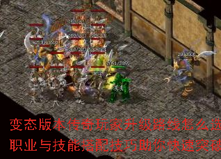̬汾·ôѡְҵ뼼ܴ似ͻƣ