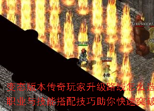 ̬汾·ôѡְҵ뼼ܴ似ͻƣ