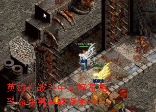 Ӣսα˺ȷ棿