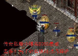 ˽BOSSѻɱֱرսɽ