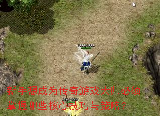 ΪϷʦЩļԣ