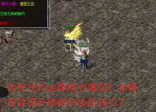 淨ʦЧɣ