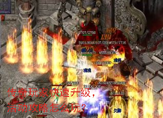 ҿô棿