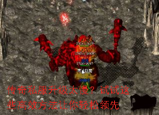 ˽̫ЩЧ