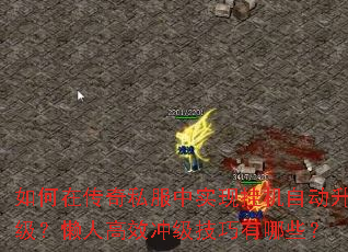 ڴ˽ʵֹһԶ˸Ч弶Щ