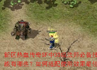 新区热血传奇SF中30级法师必备技能有哪些?如何搭配使用效果最佳? 新区热血传奇SF中30级法师必备技能有哪些?如何搭配使用效果最佳?