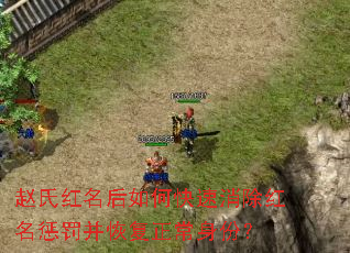 赵氏红名后如何快速消除红名惩罚并恢复正常身份? 赵氏红名后如何快速消除红名惩罚并恢复正常身份?