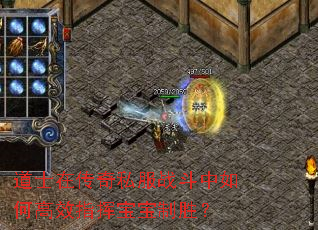道士在传奇私服战斗中如何高效指挥宝宝制胜? 道士在传奇私服战斗中如何高效指挥宝宝制胜?