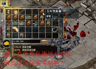 道士在传奇私服战斗中如何高效指挥宝宝制胜? 道士在传奇私服战斗中如何高效指挥宝宝制胜?