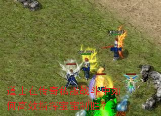 道士在传奇私服战斗中如何高效指挥宝宝制胜? 道士在传奇私服战斗中如何高效指挥宝宝制胜?