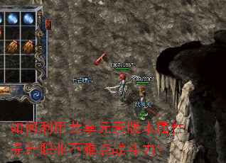 如何利用共享元素版本属性提升职业不雅点战斗力? 如何利用共享元素版本属性提升职业不雅点战斗力?