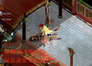 如何快速刷1.83极品鉴定合击地图? 如何快速刷1.83极品鉴定合击地图?