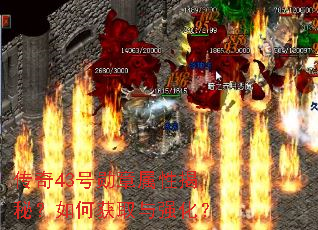 传奇43号勋章属性揭秘?如何获取与强化? 传奇43号勋章属性揭秘?如何获取与强化?