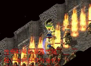 传奇43号勋章属性揭秘?如何获取与强化? 传奇43号勋章属性揭秘?如何获取与强化?