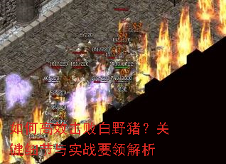 如何高效击败白野猪?关键细节与实战要领解析 如何高效击败白野猪?关键细节与实战要领解析