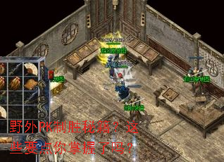 野外PK制胜秘籍?这些要点你掌握了吗? 野外PK制胜秘籍?这些要点你掌握了吗?