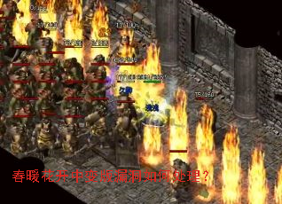 春暖花开中变版漏洞如何处理? 春暖花开中变版漏洞如何处理?