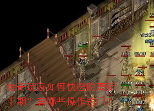 传奇玩家如何快速脱离新手期?有哪些操作窍门? 传奇玩家如何快速脱离新手期?有哪些操作窍门?