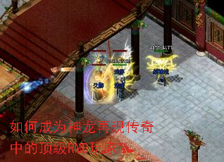 如何成为神龙再现传奇中的顶级RMB玩家? 如何成为神龙再现传奇中的顶级RMB玩家?