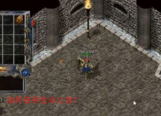 如何获得生命之息? 如何获得生命之息?