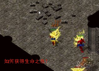 如何获得生命之息? 如何获得生命之息?