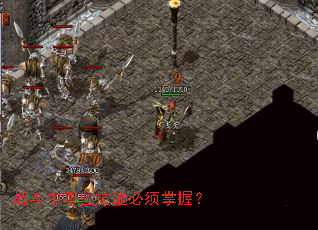 战斗中哪些技能必须掌握? 战斗中哪些技能必须掌握?